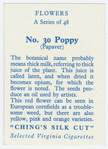Poppy (Papaver).