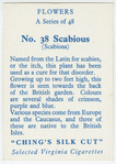 Scabious (Scabiosa).