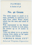 Geum.