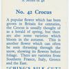 Crocus.