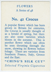 Crocus.
