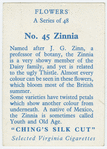 Zinnia.