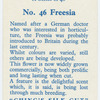 Fressia.