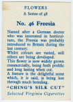 Fressia.