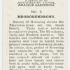 Rhododendrons.