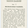 Michaelmas daisies.