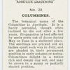 Columbines.