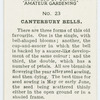 Canterbury bells.