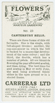 Canterbury bells.