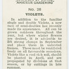 Violets.