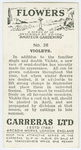 Violets.