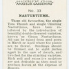 Nasturtiums.