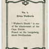 Erica walkeria.