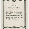 Erica propendens.