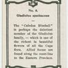 Gladiolus spathaceus.