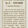 Pyrethrum ("James Kelway").