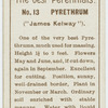 Pyrethrum ("James Kelway").