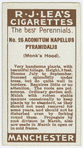 Aconitum napellus pyramidalis (Monk's hood).