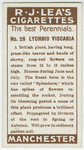 Lychnis viscaria.