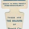 These are the colours of Norwich City A. F. C.