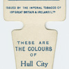 These are the colours of Hull City A. F. C.