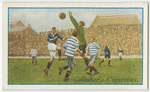 Morton v. Falkirk.