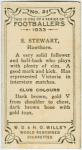 S. Stewart, Hawthorn.