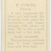 F. Curcio, Fitzroy.