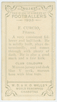 F. Curcio, Fitzroy.