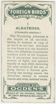 Albatross (Diomedia exulans).