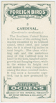 Cardinal (Cardinalis cardinalis).
