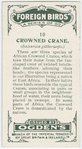 Crowned crane (Baleariea gibbericeps).
