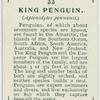 King penguin (Aptenodytes pennanti).