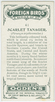 Scarlet tanager (Piranga erythromelas).