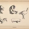 Figurines.