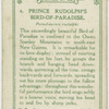 Prince Rudolph's bird-of-paradise (Paradisoruis rudolphi).