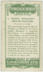 Prince Rudolph's bird-of-paradise (Paradisoruis rudolphi).