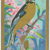 Blue-shouldered tanager (Compsocoma sumptuosa).