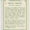 Indian tree-pie (Dendrocitta vagabunda).