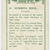 Humming birds (Trochilidæ).