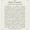 King penguin (Aptenodytes pennanti).