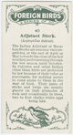 Adjutant stork (Leptoptilus dubius).