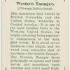Western tanager (Piranga ludoviciana).