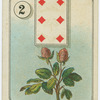 Six of diamonds (Flower)