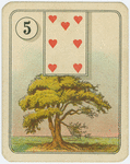 Seven of hearts (Tree)