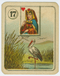 Queen of hearts (Stork).