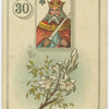 King of spades (Flowers)