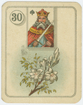 King of spades (Flowers)
