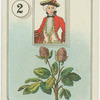 Queen (Flowers)