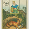 Queen (Mountain lion with kill)